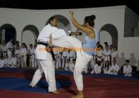 karate (91) (Αντιγραφή)